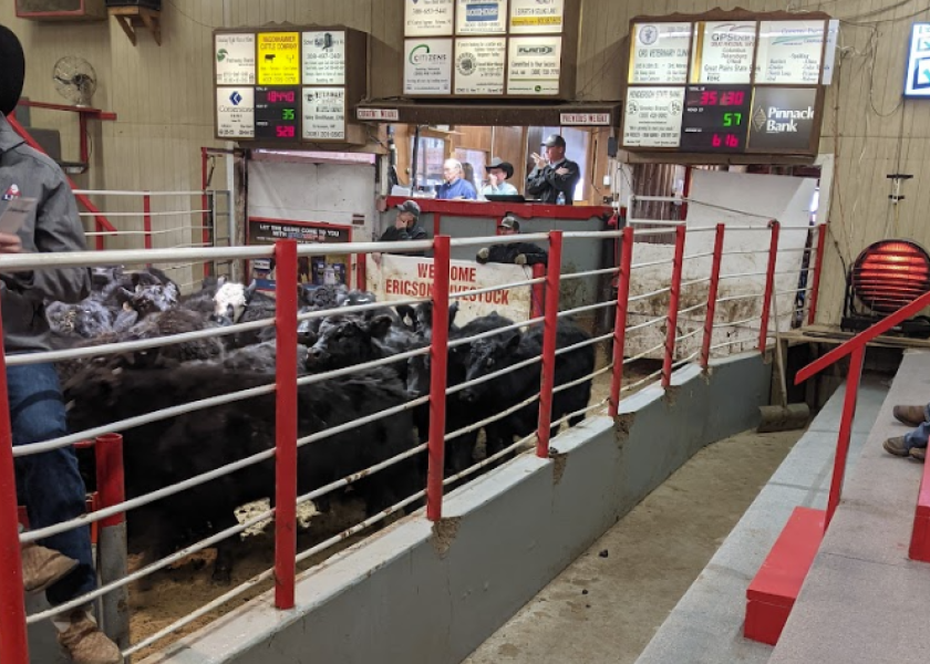 Cattle Auction Preparations A Sale Day Checklist for Ranchers Drovers
